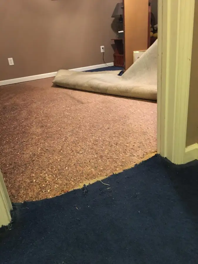 Carpet pad removal revealing water damage during Water Mitigation Services in Buckingham