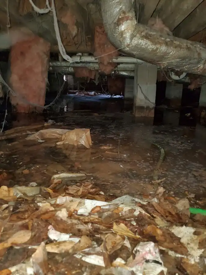 Crawl space flood assessment for Leak Detection & Repair in Buckingham