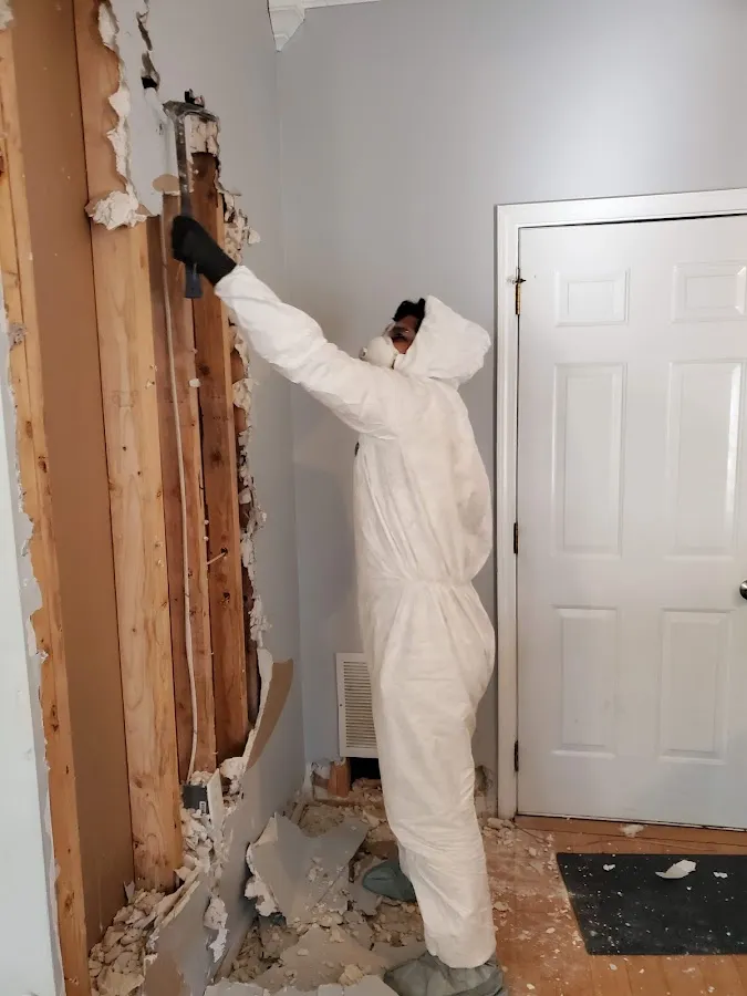 Mold Remediation & Removal in Buckingham, PA